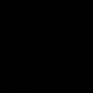 Meet your Posher, Alaina